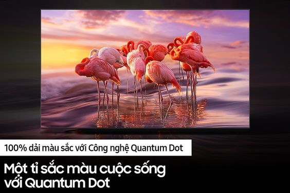 Smart Tivi Samsung QLED 4K 55 inch QA55Q60B (ảnh 2)