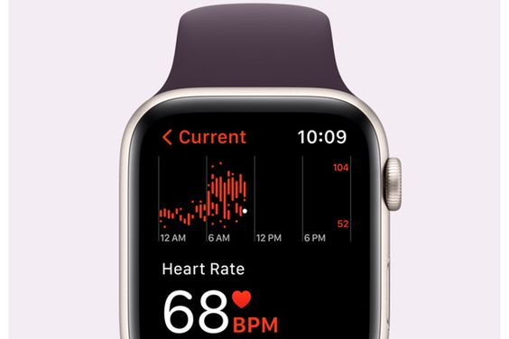 Apple Watch SE 2022 (ảnh 6)