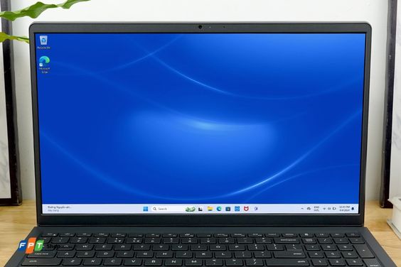 Dell Vostro 3520 (ảnh 5)