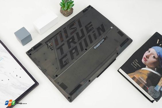 MSI Gaming Cyborg 15 A12UCX-281VN (ảnh 5)