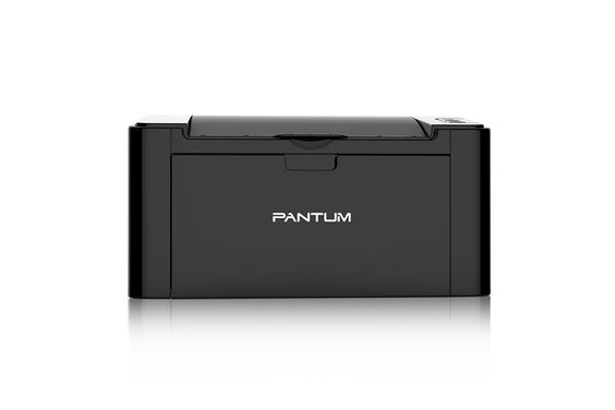Pantum P2516 (ảnh 4)