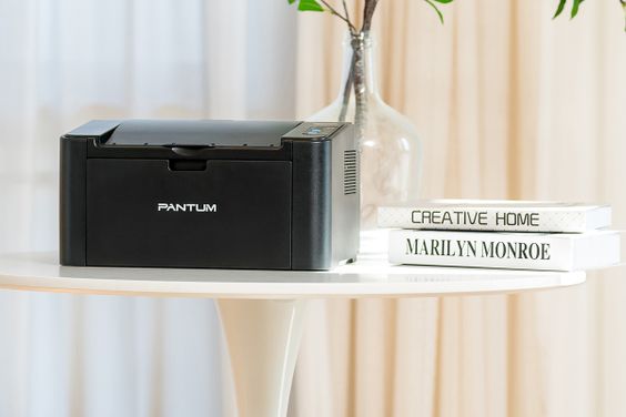 Pantum P2516 (ảnh 1)