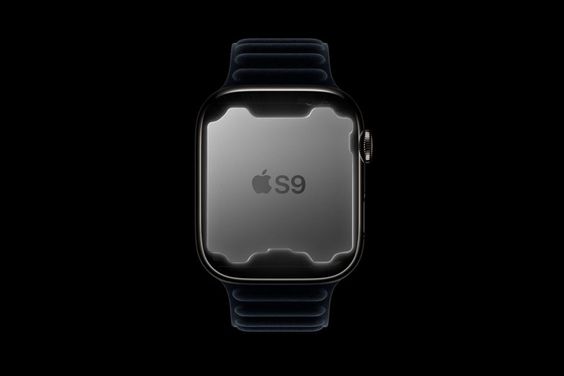 Apple Watch Series 9 GPS + Cellular 45mm viền nhôm dây vải (ảnh 2)