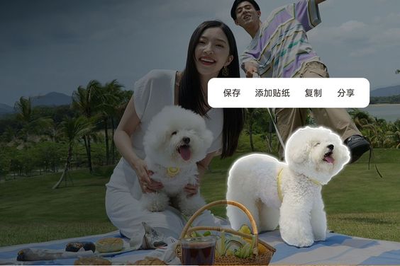 Chỉnh ảnh AI OPPO Reno12 5G (ảnh 3)
