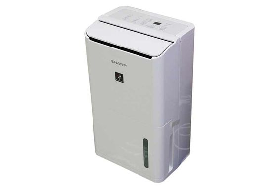 máy hút ẩm Sharp DW-D12A-W - hình 1