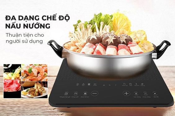 Bếp từ Sunhouse 4