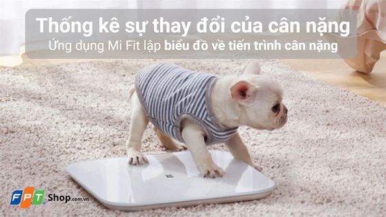 Theo dõi cân nặng