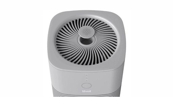 Lan tỏa hương thơm tươi mát