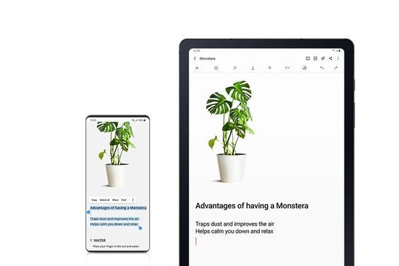 Samsung Galaxy Tab S6 Lite 2022