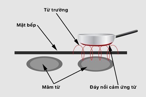 Cấu tạo bếp từ