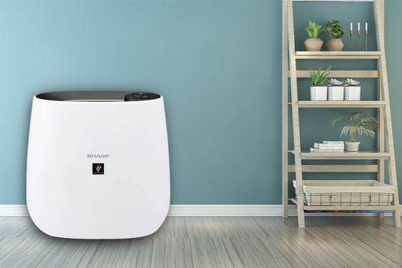 Máy lọc không khí Sharp
