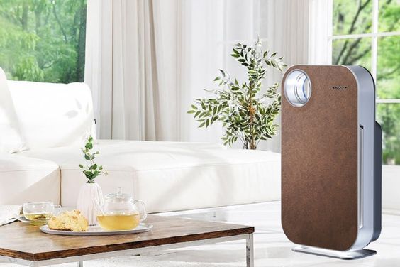 Máy lọc không khí Coway AP-1008DH