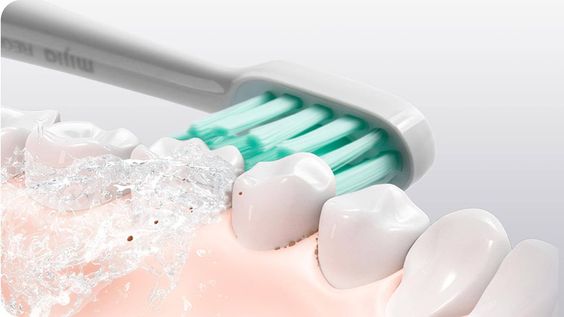Không gây hại cho nướu, chỉ cần lực vừa phải 1