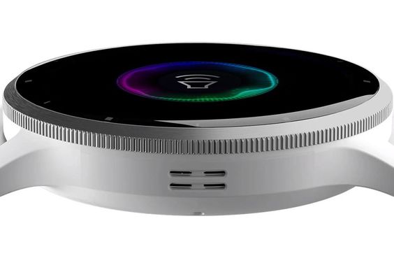 Garmin Venu 3 10