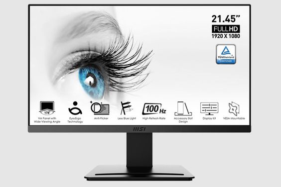Màn hình MSI PROMP223 21.5 inch 688