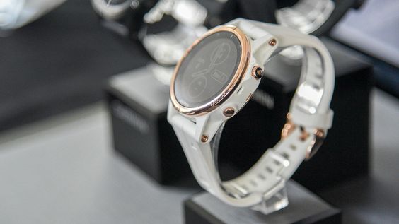 Garmin Fenix 5S Plus 1