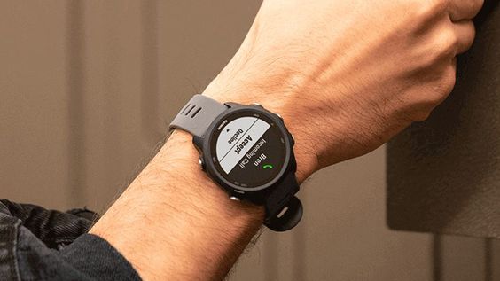 Garmin Forerunner 245 1