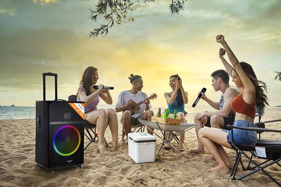 Loa Bluetooth Karaoke Soundmax M33 2