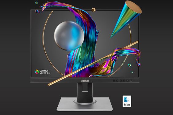 Asus ProArt PA248QV-P 24 inch 1