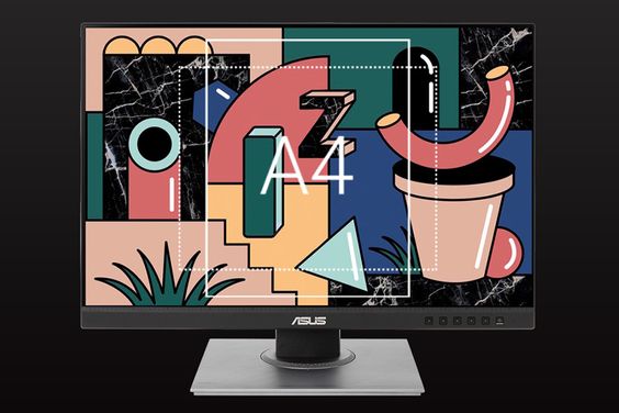 Asus ProArt PA248QV-P 24 inch 8