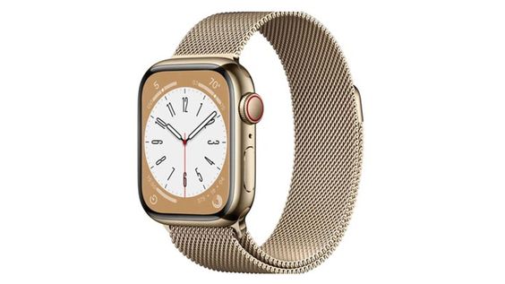 Quai thép Apple Watch Series 8 GPS Cellular 41mm