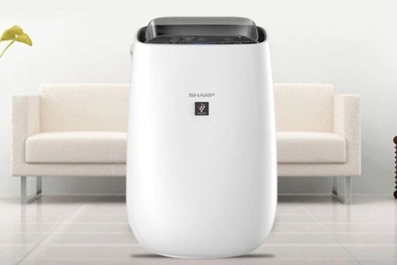 Máy lọc không khí Sharp 20