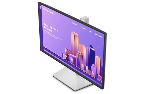 Màn hình Dell P2422H 23.8 inch FHD IPS (Ảnh 6)