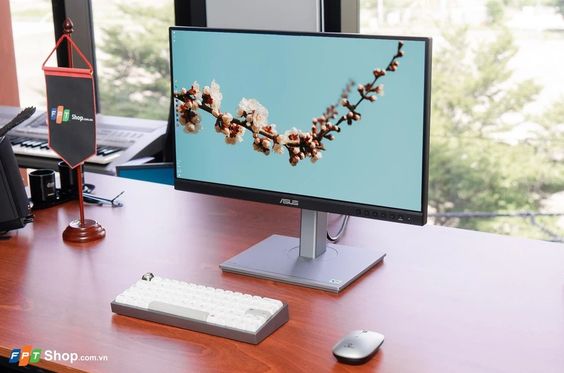 Màn hình Asus ProArt PA247CV-P (Ảnh 2)