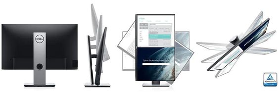 Dell PRO P2319H (Ảnh 6)