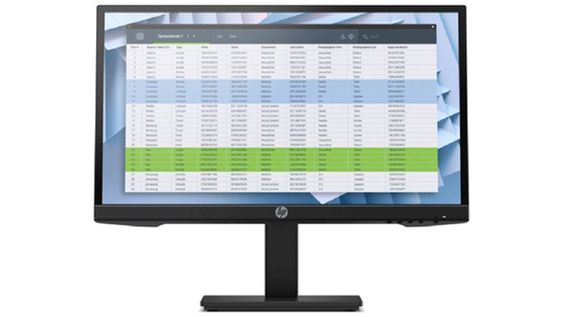 Màn hình HP P22v G4 (Ảnh 1)