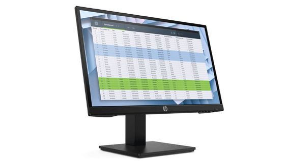 Màn hình HP P22v G4 (Ảnh 3)