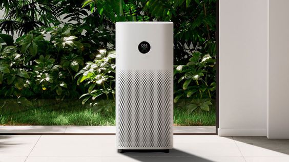 Tăng cường ion âm để căn nhà luôn trong lành