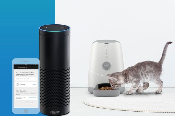 Máy cho thú cưng ăn tự động có camera Petoneer PF002 2