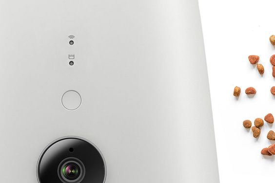 Máy cho thú cưng ăn tự động có camera Petoneer PF002 3