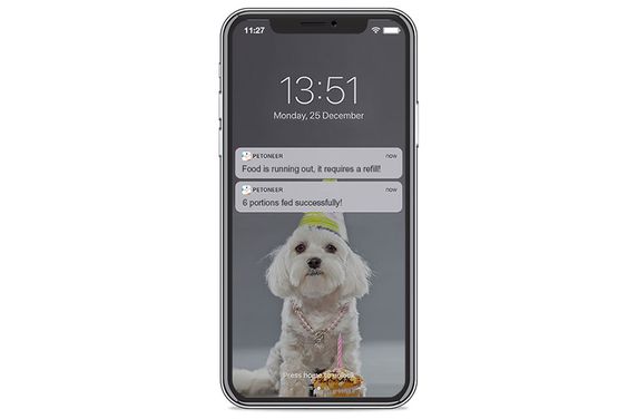 Máy cho thú cưng ăn tự động có camera Petoneer PF002 12