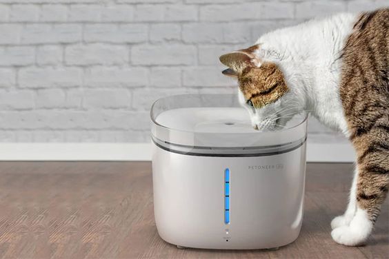 Máy cho thú cưng uống nước tự động Petoneer WF002 2