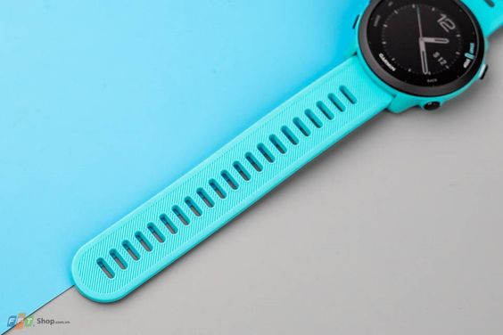 Garmin Forerunner 55 55