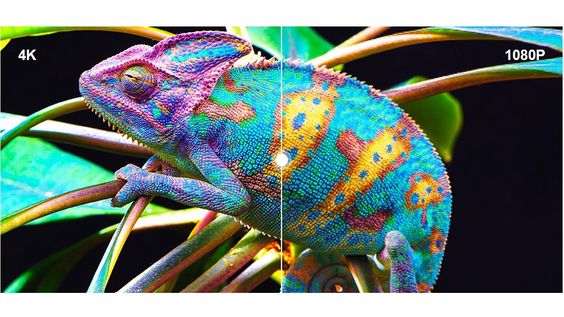 Chất lượng hình ảnh 4K Ultra HD mãn nhãn 123