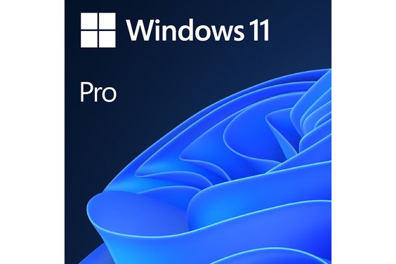 Windows 11 Pro 32bit/64bit FPP
