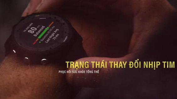 30 môn thể thao, gợi ý bài tập hàng ngày