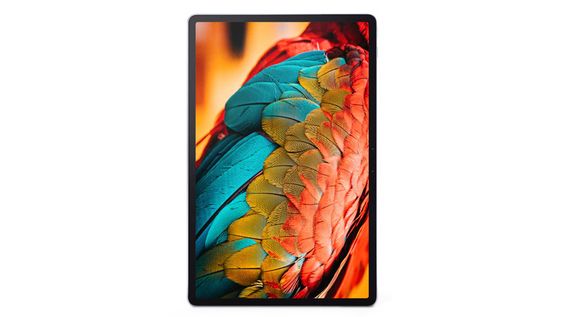 pin Lenovo Tab P11 Pro