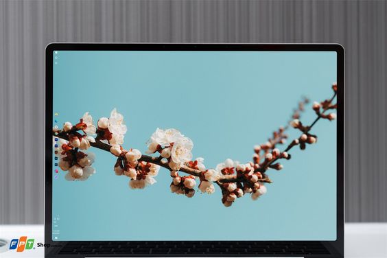 Microsoft Surface Laptop Go Core i5 (Ảnh 6)