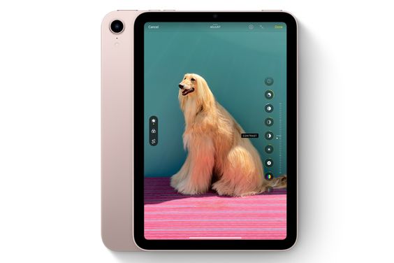 chụp ảnh iPad mini 6 2021