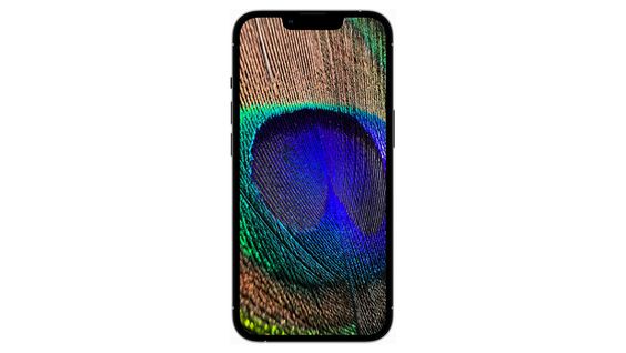 hiển thị màn hình iPhone 13 Pro