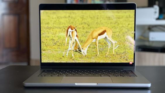 màn hình MacBook Pro 2021 14 inch