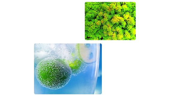 macro Realme C25
