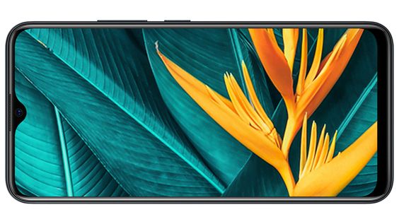 màn hình Vivo Y19