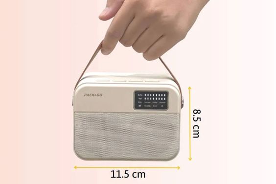 Loa Bluetooth Karaoke mini PACK&GO KMS01 + Mic không dây