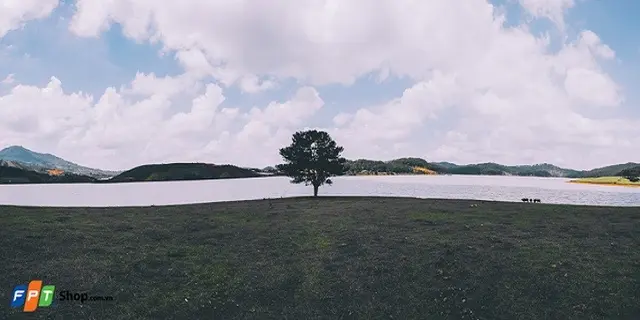 https://fptshop.com.vn/