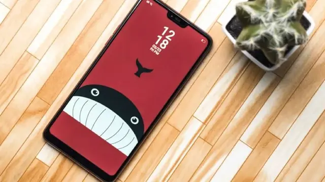 https://fptshop.com.vn/